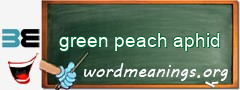 WordMeaning blackboard for green peach aphid